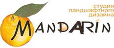 logo head